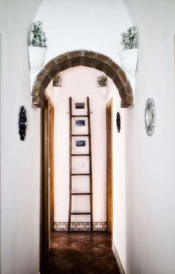 Casa Vitoria Guest House Évora Eksteriør billede